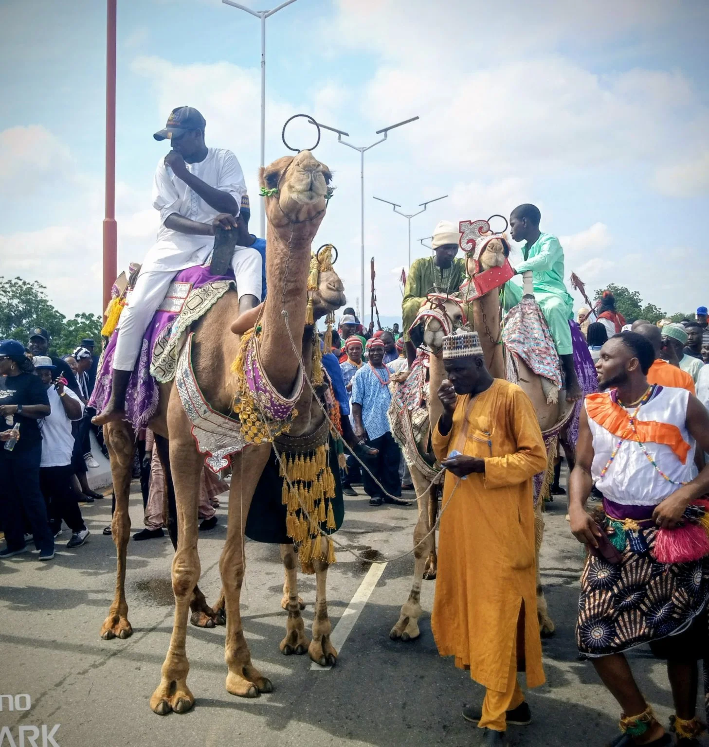 Adamawa govt. to leverage cultural diversity for investment – Commissioner
