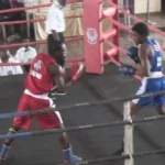 Lagos boxing championships make exciting return Lagos boxing championships make exciting return