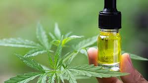 We:re open to dialogue on legalising cannabis oil- -NDLEA
