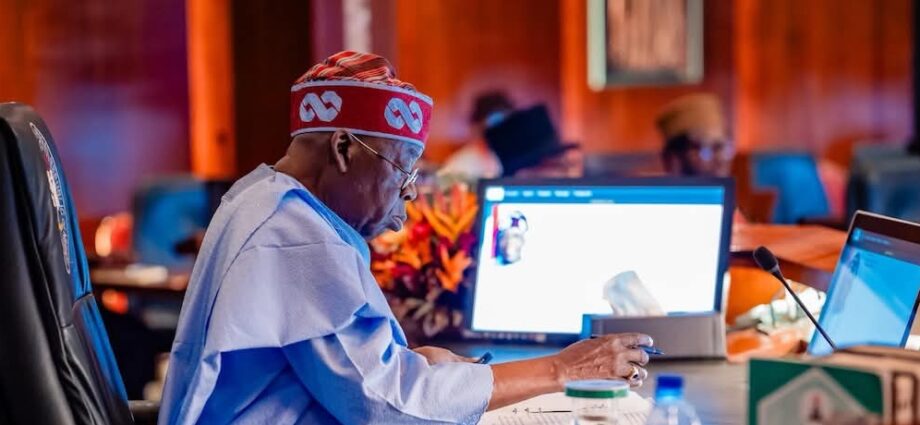 Credible national identity system key to development, says Tinubu