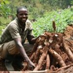 Examining World Bank’s AgriConnect to transform global agriculture Examining World Bank’s AgriConnect to transform global agriculture