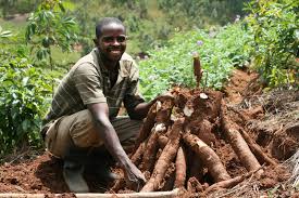 Examining World Bank’s AgriConnect to transform global agriculture Examining World Bank’s AgriConnect to transform global agriculture