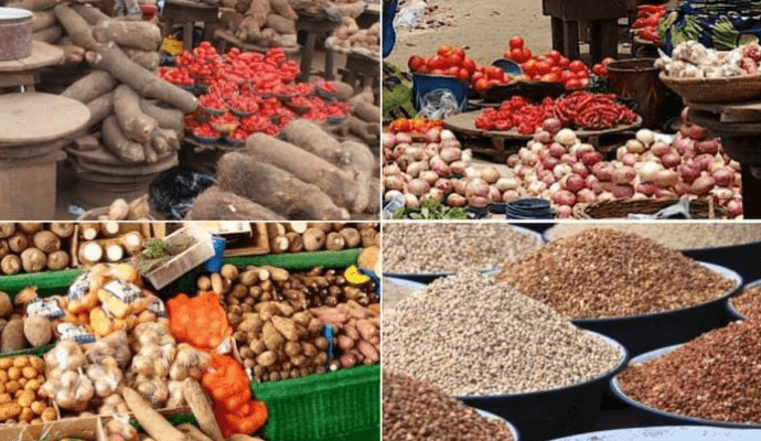 Niger calls for collective action on food security
