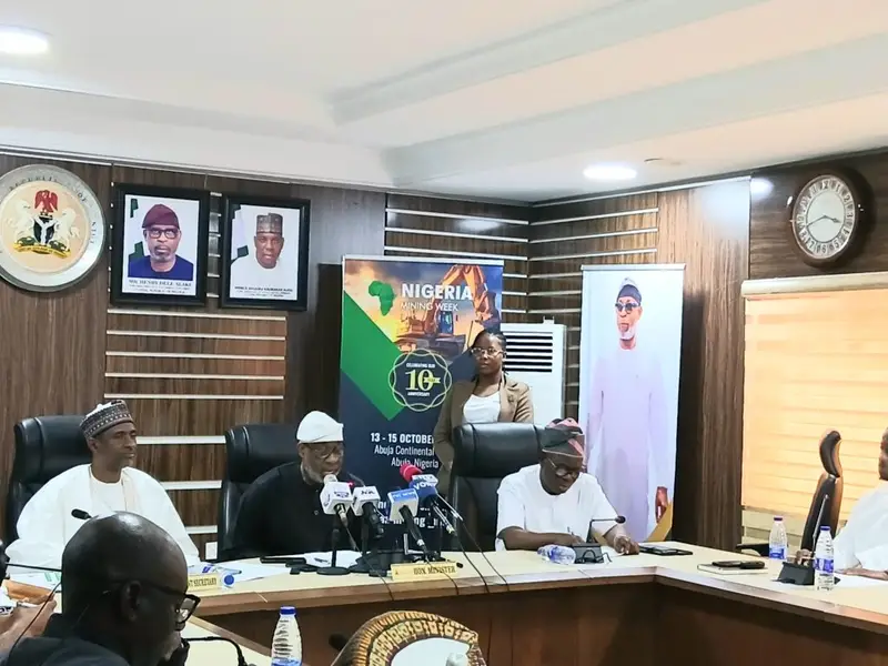 I have been receiving threats for revoking mining licences — Alake