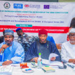 Constitution Review Committee approves creation of additional state in S’East Constitution Review Committee approves creation of additional state in S’East