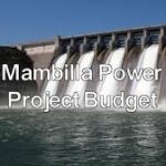 Ex-Minister didn’t disobey presidential directive for Mambila Power Project, EFCC witness