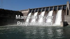 Ex-Minister didn’t disobey presidential directive for Mambila Power Project, EFCC witness