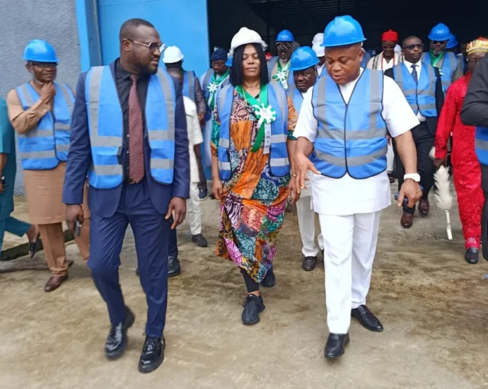 NASS pledges legislative support for indigenous firms