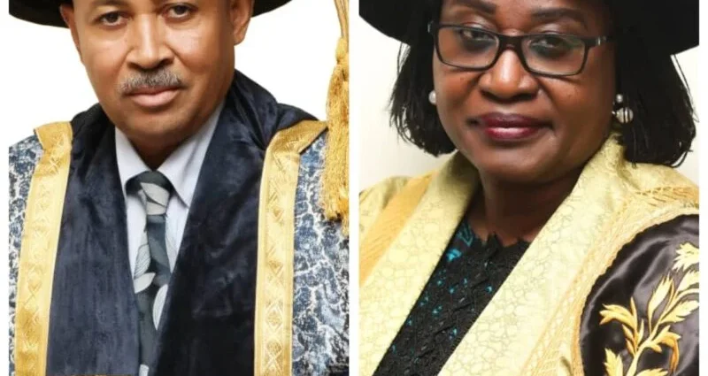 NOUN appoints Adamu, Ofulue as new DVCs NOUN appoints Adamu, Ofulue as new DVCs