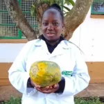 How nature-based solution is helping farmers restore pawpaw