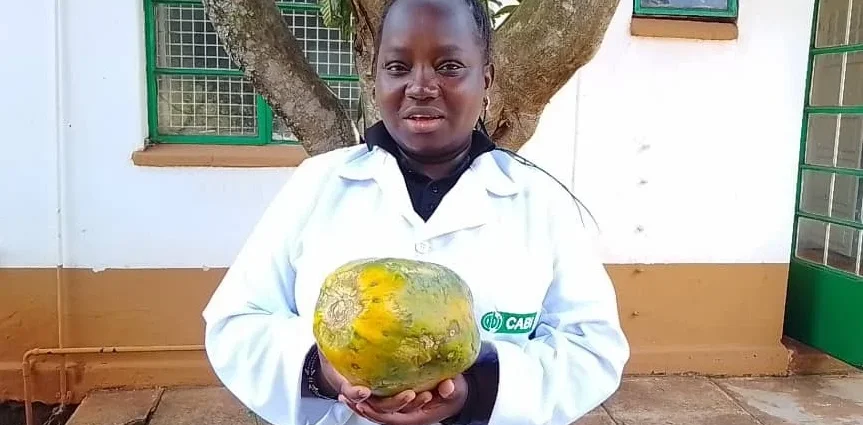 How nature-based solution is helping farmers restore pawpaw