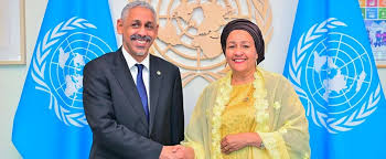 UN, AfDB seek innovative investment to rebuild food systems in fragile regions