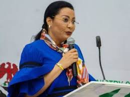 Nigeria’s health sector records progress under economic reforms- Uzoka-Anite