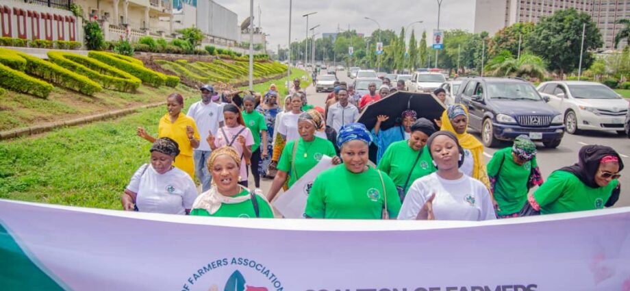 World food day: Experts promote healthy diets, sustainable food World food day: Experts promote healthy diets, sustainable food