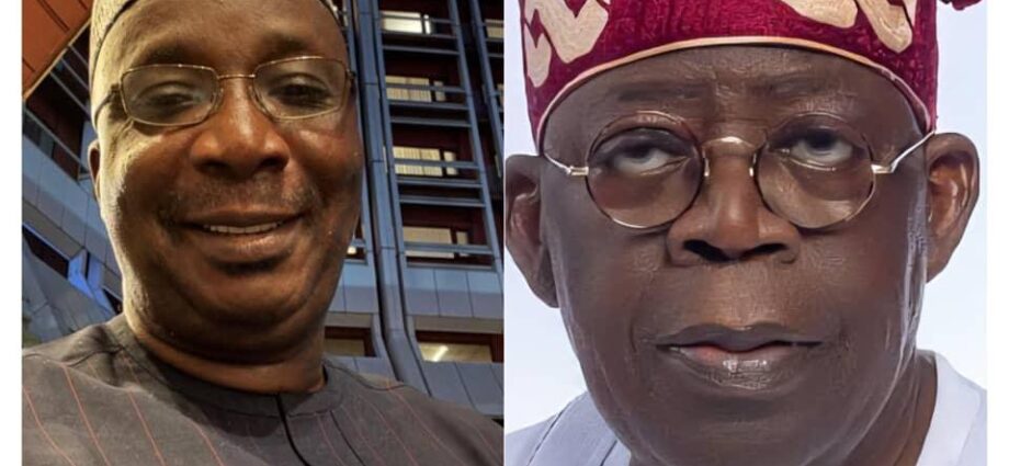Expert canvasses support for Tinubu in 2027 Expert canvasses support for Tinubu in 2027