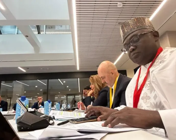 Nigeria secures SDG seat as major player