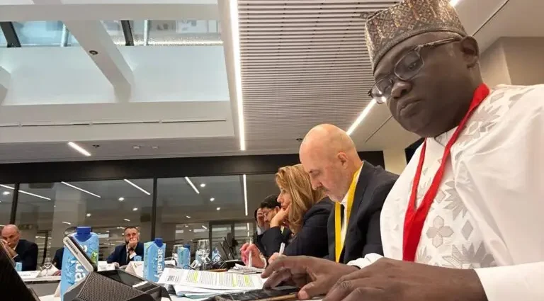 Nigeria secures SDG seat as major player