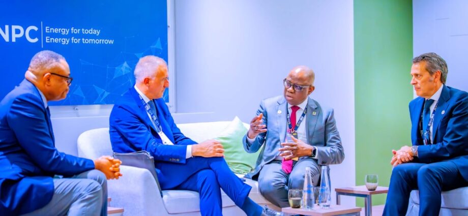 Nigeria seeks co-investment to end energy poverty in Africa