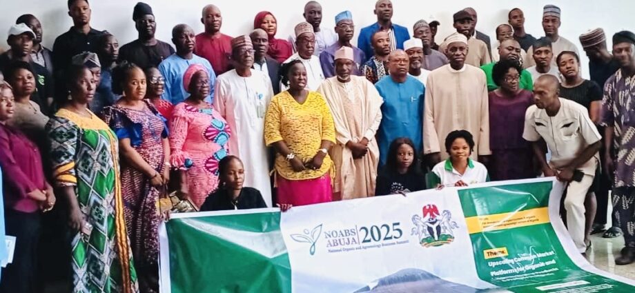 Experts push policy support for organic farming