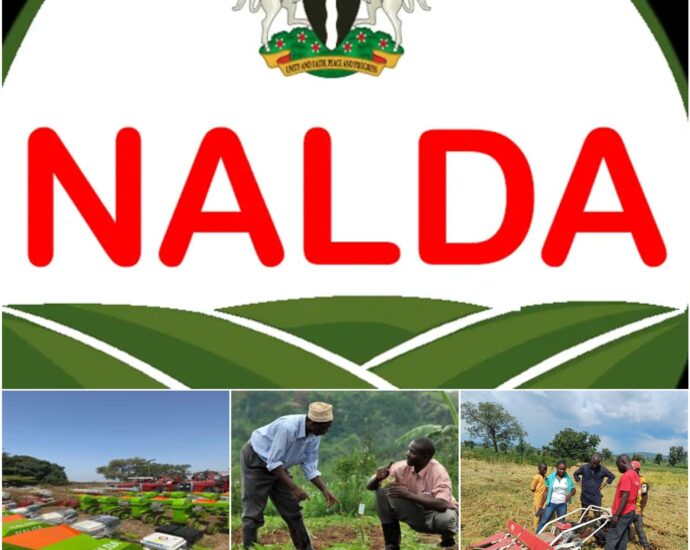 NALDA mega farm initiative to create 150,000 jobs