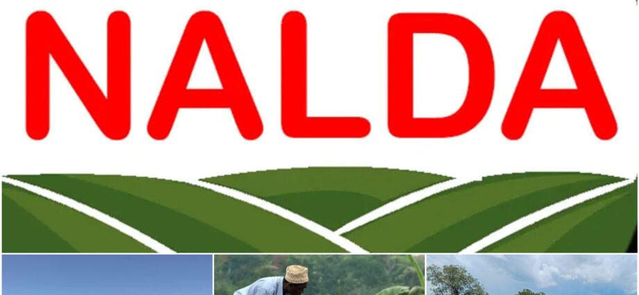 NALDA mega farm initiative to create 150,000 jobs