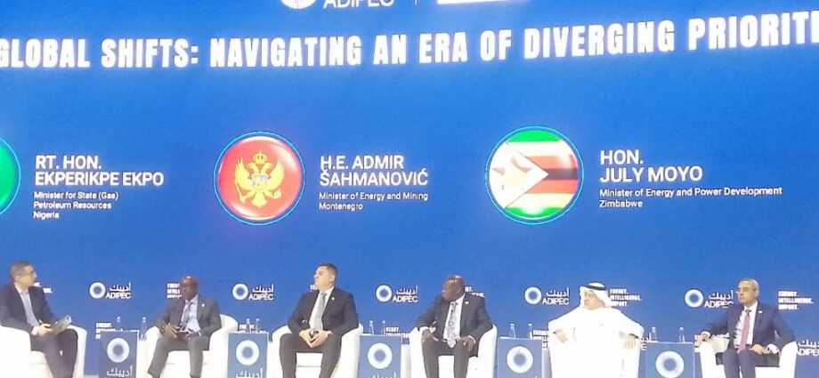 Energy transition must align with africa’s realities, says Ekpo