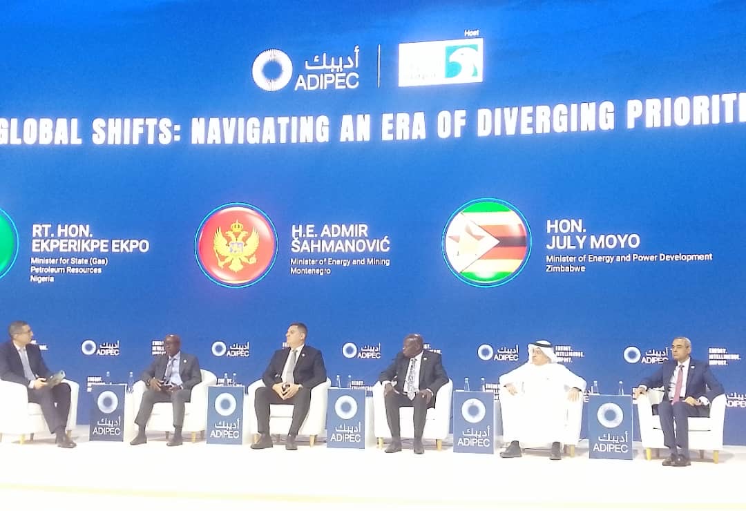 Energy transition must align with africa’s realities, says Ekpo