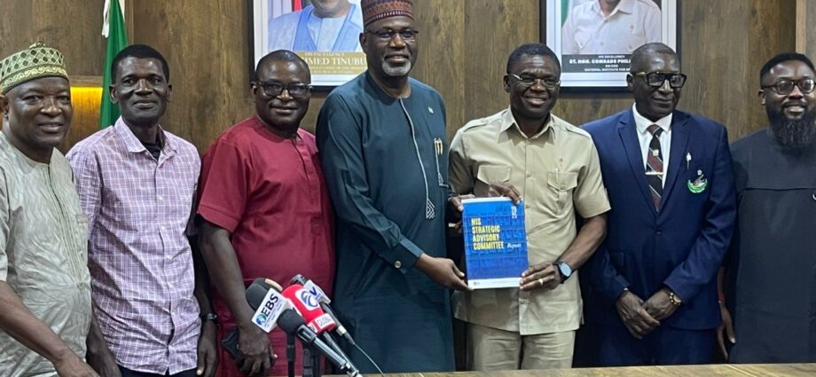 NIS DG pledges full implementation of committee report