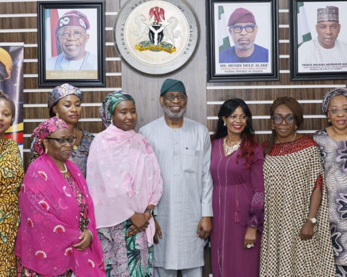 WIMIN gemstone conference targets sustainable growth, opportunities -Alake