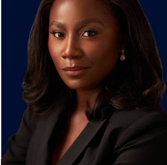 Nigeria’s energy reforms attract over bn investments – Presidential Aide