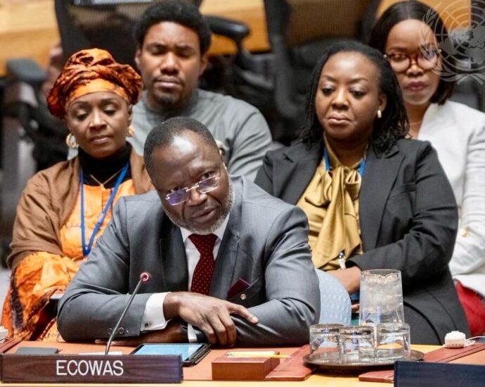 Current surge in terrorism poses regional existential threat — ECOWAS