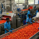FG urges stakeholders to prioritise domestic agro-processing