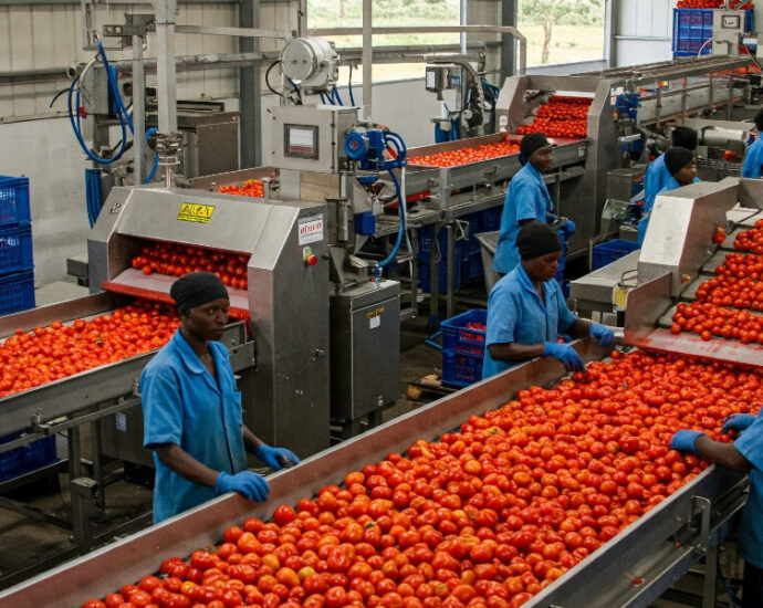 FG urges stakeholders to prioritise domestic agro-processing