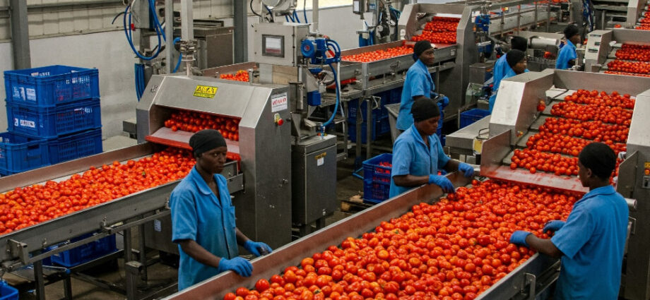 FG urges stakeholders to prioritise domestic agro-processing