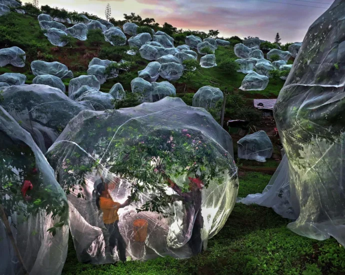 Winners announced for the 11th Andrei Stenin International Press Photo Contest