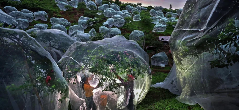 Winners announced for the 11th Andrei Stenin International Press Photo Contest Winners announced for the 11th Andrei Stenin International Press Photo Contest