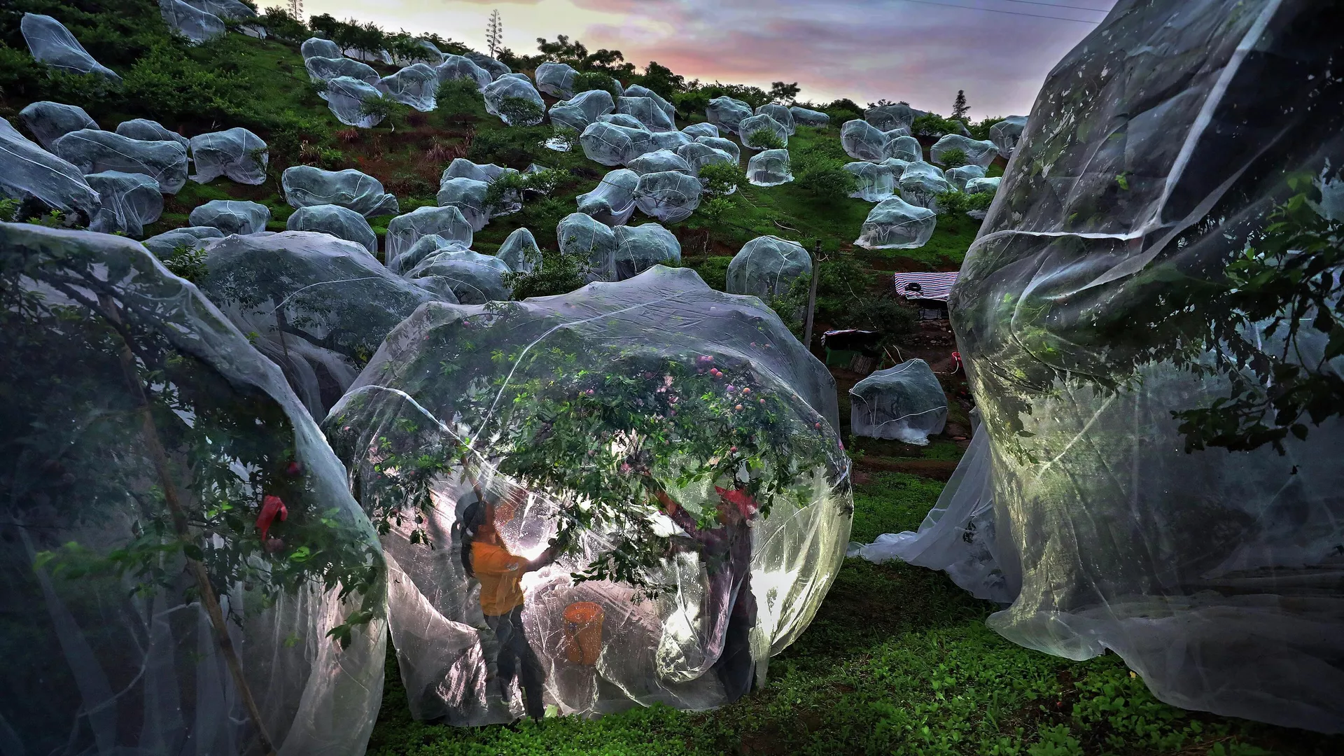 Winners announced for the 11th Andrei Stenin International Press Photo Contest Winners announced for the 11th Andrei Stenin International Press Photo Contest