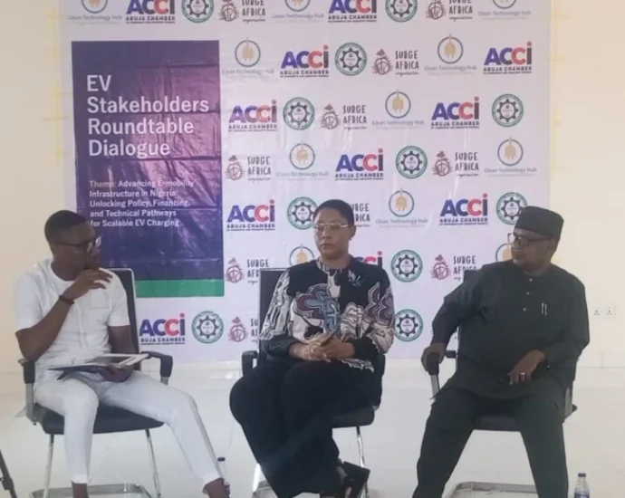 Nigeria needs clear EV charging roadmap — experts