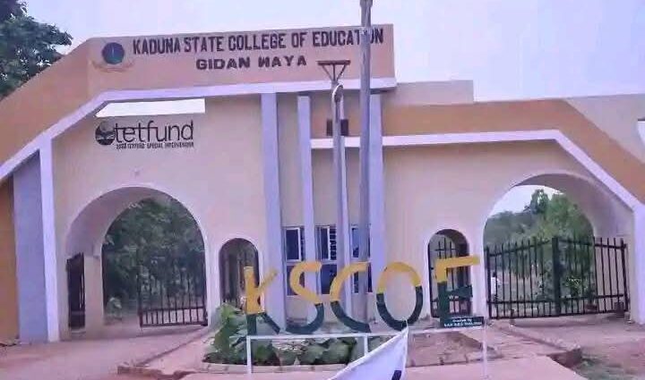 Kaduna COE lecturers laud Sani for implementing new salary structure