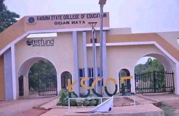 Kaduna COE lecturers laud Sani for implementing new salary structure Kaduna COE lecturers laud Sani for implementing new salary structure