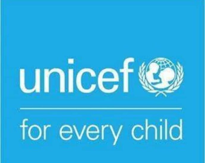 Breaking barriers essential to girl-child acquiring digital skills – UNICEF
