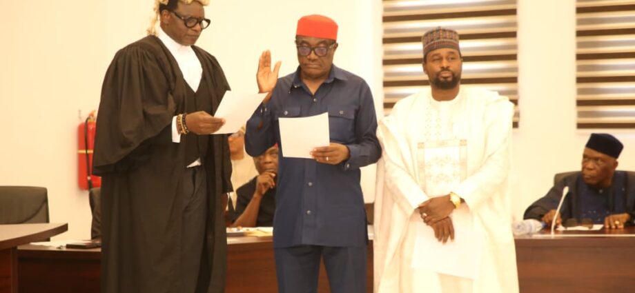 PDP: Abdulrahman-led faction sacks Wabara, appoints Ohuabunwa as new BoT Chair