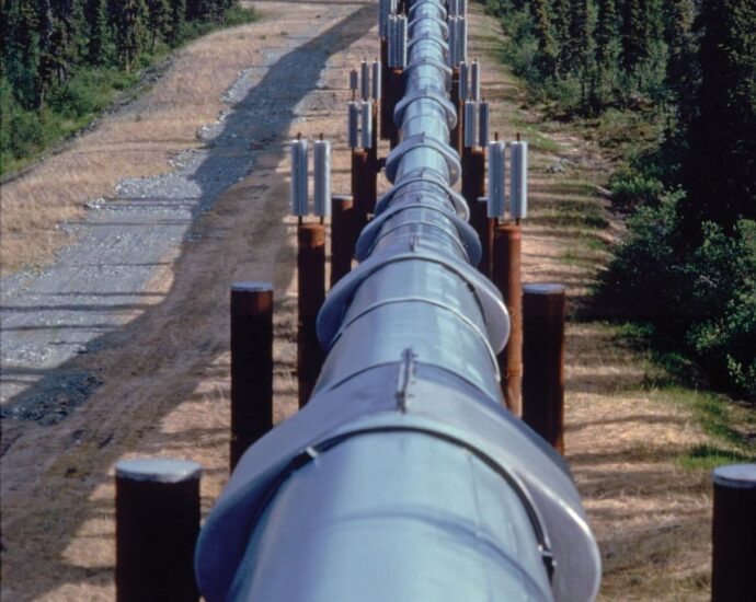 Experts propose digital command centre to secure energy assets