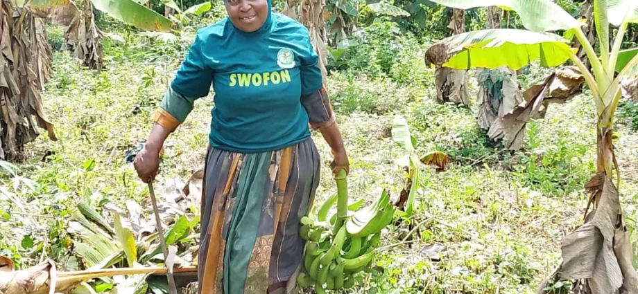 Land insecurity, gender bias squeezing Oyo women farmers