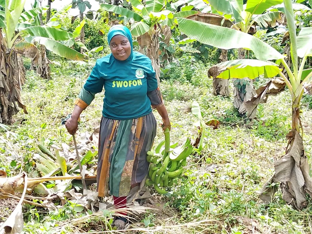 Land insecurity, gender bias squeezing Oyo women farmers