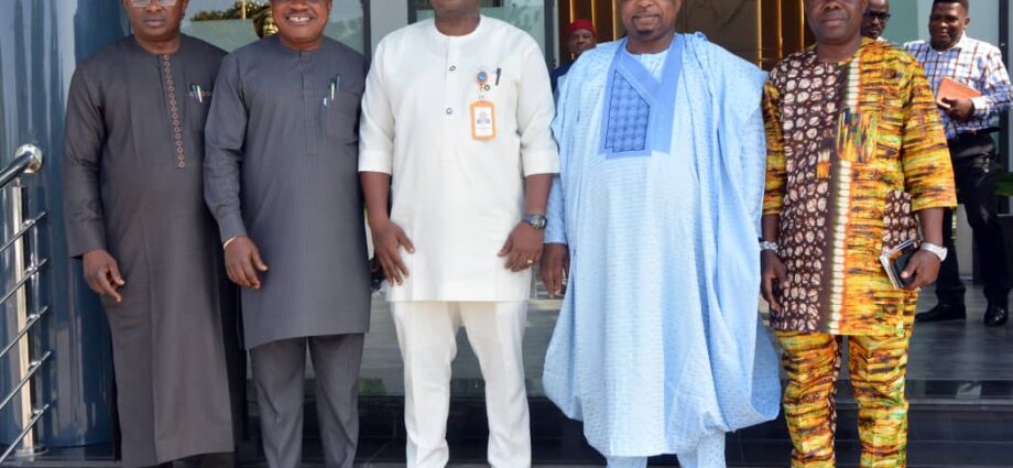 Energy sector gets boost as National Assembly vows to curb theft