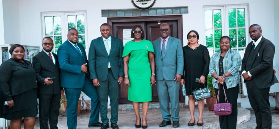 BRIPAN to rescue failing public, state owned businesses in Imo