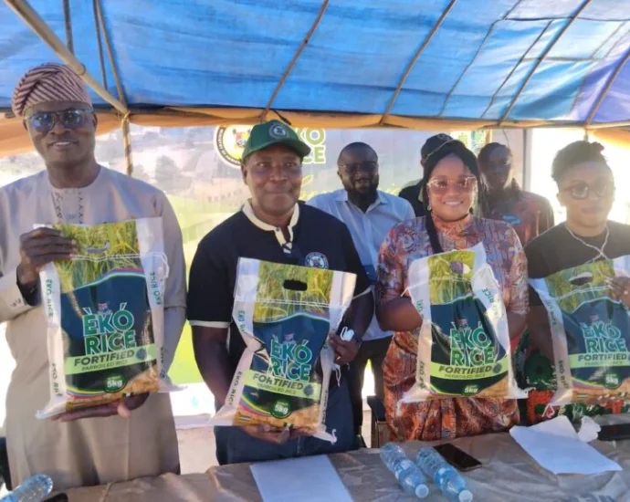 Lagos unveils biofortified rice to address micronutrients deficiency