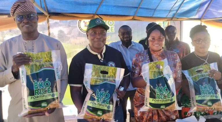Lagos unveils biofortified rice to address micronutrients deficiency