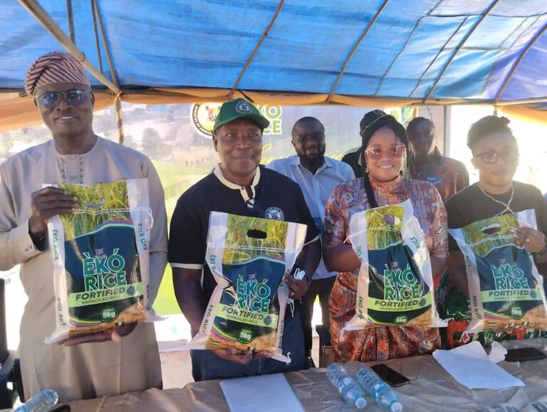 Lagos unveils biofortified rice to address micronutrients deficiency